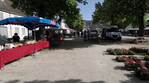 marche 6